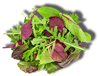 Sun Hee Seasame Seeds